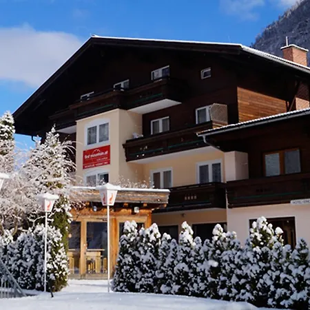 Отель Naturhotel Steiner 3*