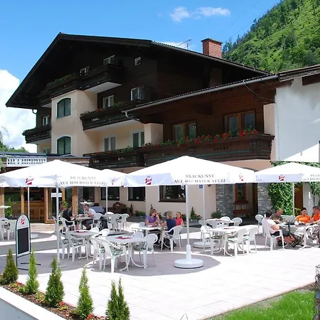 Отель Naturhotel Steiner 3*